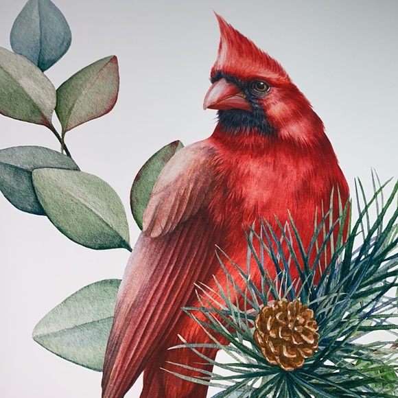 Watercolor Red Cardinal Wall Art Illustration Print Poster Unframed - Picture 3 of 14
